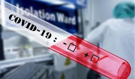 За сутки в России зарегистрировали 679 смертей из-за коронавируса