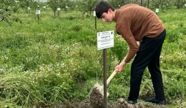 В Чеченской Республике проводятся работы по расширению «Сада героев»