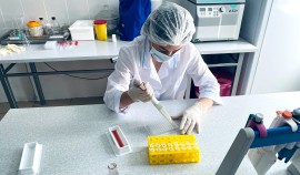 Россельхознадзор оценил поствакцинальный иммунитет птиц в ЧР по итогам 300 исследований