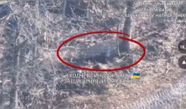 Группа «Бати» спецназа «АХМАТ» уничтожила арсенал противника и его укрытия