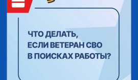 Поддержка ветеранов СВО: новое мероприятие по трудоустройству в Чеченской Республике