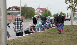 В Грозном продолжаются общегородские субботники