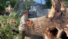 Сотрудники Шатойского лесничества ликвидировали последствия непогоды