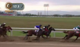 Рамзан Кадыров: Конный спорт в ЧР планомерно развивается