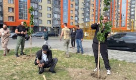 В Грозном сотрудники Росгвардии посадили деревья в рамках экологического субботника.