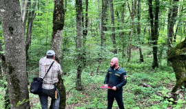 Специалисты Курчалоевского лесничества оценивают состояние лесов в рамках нацпроекта