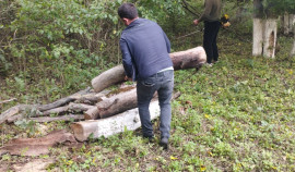 В рамках нацпроекта «Экологическое благополучие» очищены территории вдоль Чернореченской трассы