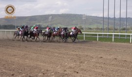 На ипподроме им. С.-Х. Закаева прошли скачки, приуроченные ко дню рождения Владимира Путина