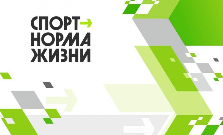 В селе Закан-Юрт прошло мероприятие в рамках федерального проекта «Спорт – норма жизни»