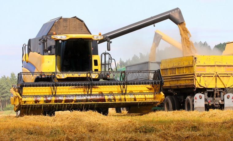 Более 1,7 тыс. тонн зерна из ЧР поставлено в порты Юга России под контролем Россельхознадзора