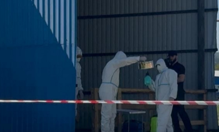 Россельхознадзор отработал действия при вспышках опасных болезней животных в ЧР