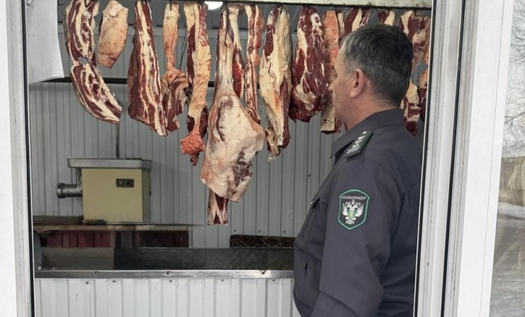 В Шелковской четыре хозяйствующих субъекта предупреждены за продажу мяса без документов