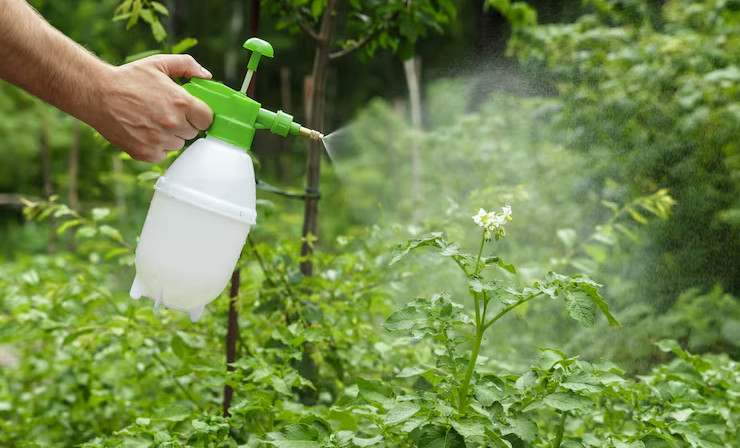 Российские производители пестицидов смогут выводить препараты на зарубежные рынки быстрее