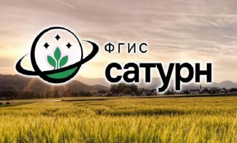 Россельхознадзор упростил учет средств защиты растений с помощью нового мобильного приложения