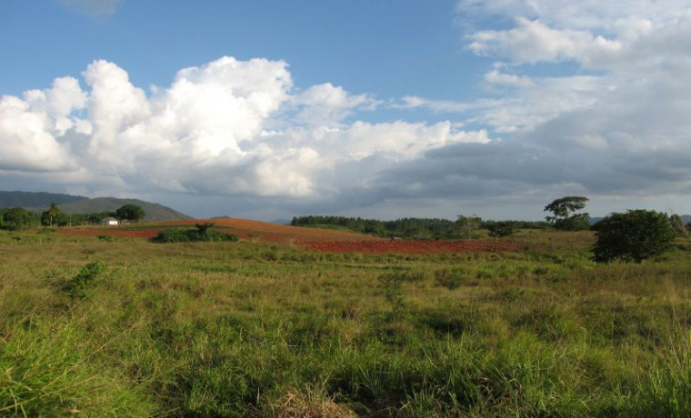 Россельхознадзор обязал ООО «ТЕРЕК» привести в порядок земли в ЧР