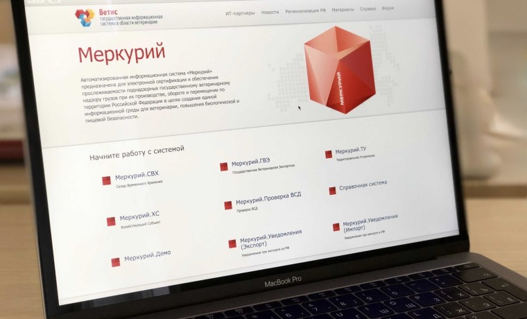 За первое полугодие в Чеченской Республике выявили 5 тыс. нарушений в компоненте «Меркурий»