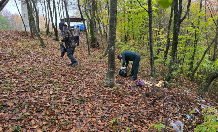 В Урус-Мартановском районе прошла экологическая акция «Чистый лес»