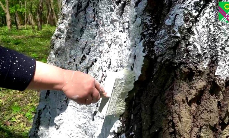 В селе Новый-Шарой продолжаются субботники по благоустройству территории