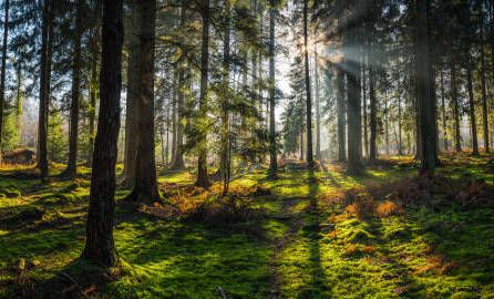 В Чеченской Республике прошли выездные мероприятия по популяризации природных территорий