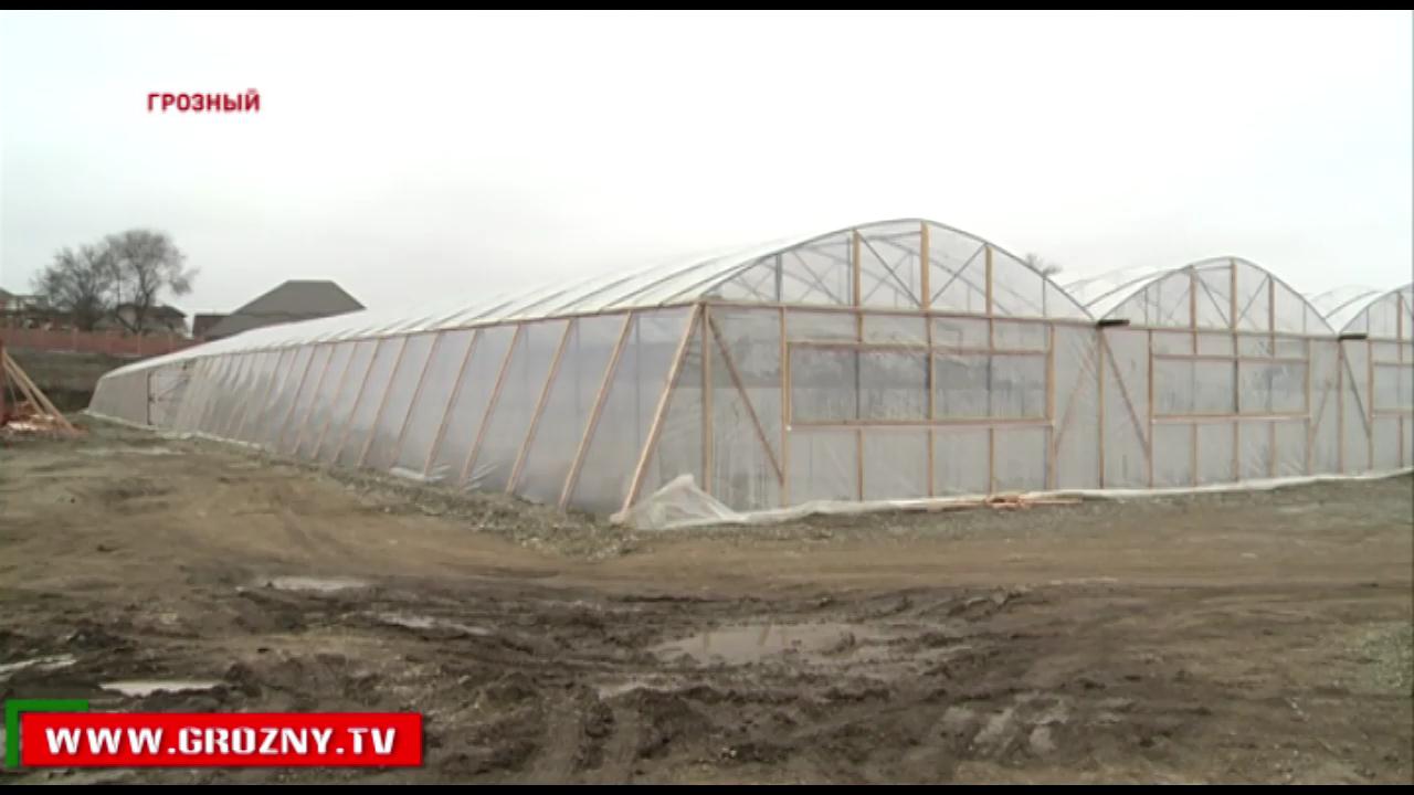 Тепличное хозяйство в перспективе