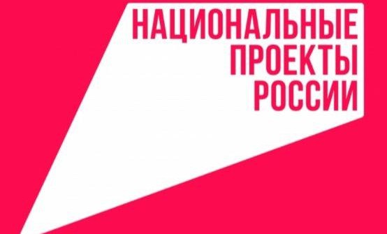 Объявленные Владимиром Путиным новые нацпроекты начнут реализовываться с 2025 года