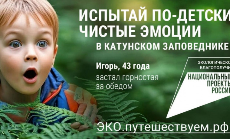 В России стартовала рекламная кампания по популяризации экологического туризма