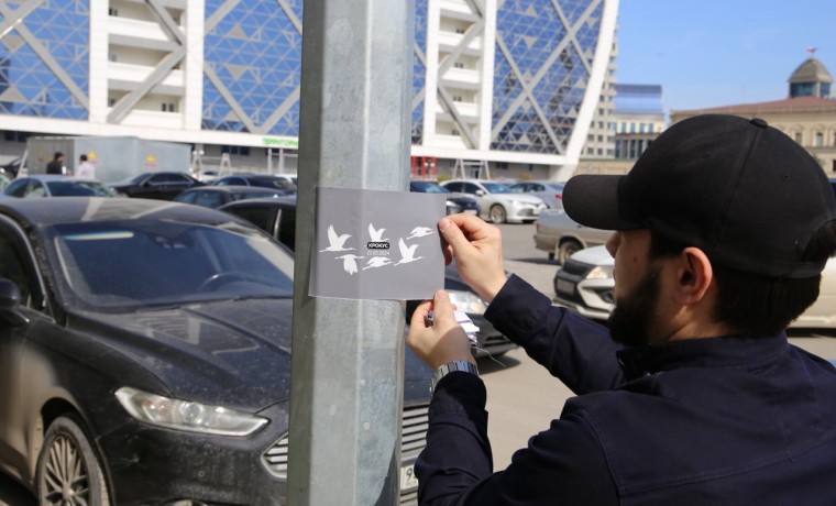 В Грозном прошла акция памяти погибших при теракте в «Крокус Сити Холле»