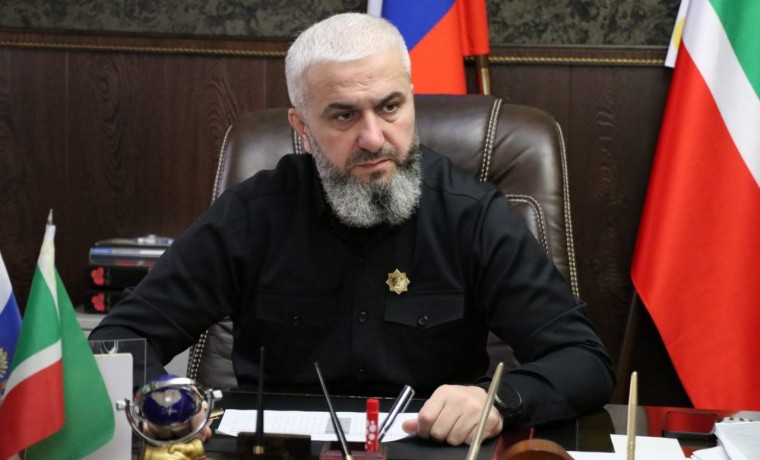 Наставничество как инструмент социальной адаптации для участников проекта «Турпалхо – Герои 95»