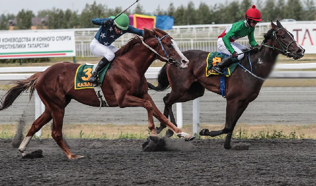 Чеченский жеребец выиграл Кубок Казанского Кремля