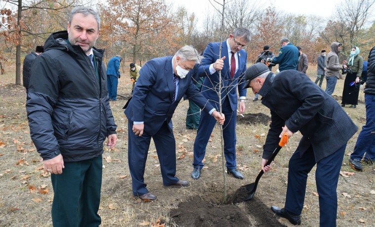 В Грозном заложили «Сад дружбы»