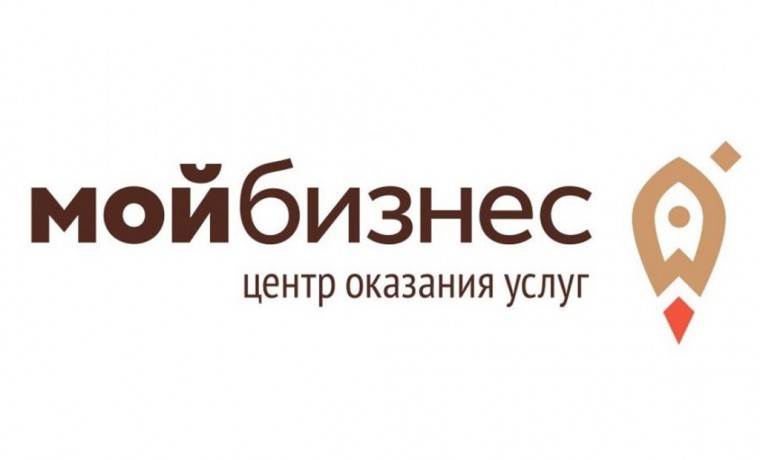 В ЧР численность занятых в МСП по итогам 2022 года увеличилась в четыре раза