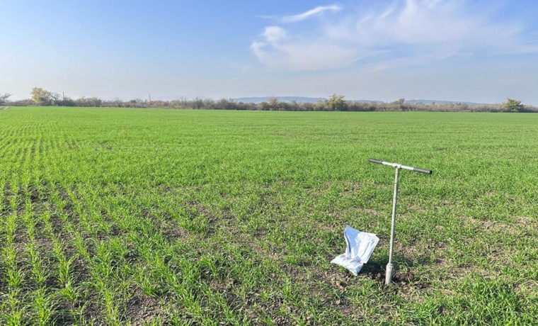 В Чеченской Республике Россельхознадзор добился восстановления 26 га заброшенного пастбища