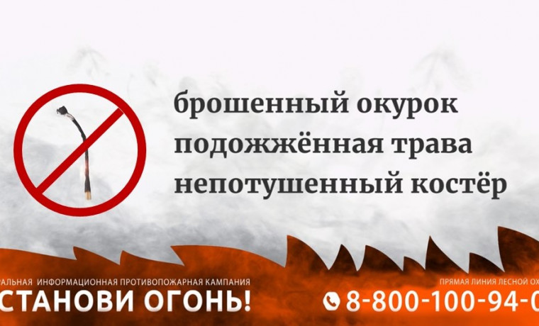 15 марта в России стартует Федеральная информационная противопожарная кампания «Останови огонь!»