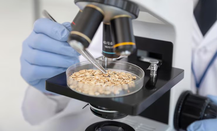 Зернобобовая продукция из Чеченской Республики успешно прошла проверку перед экспортом