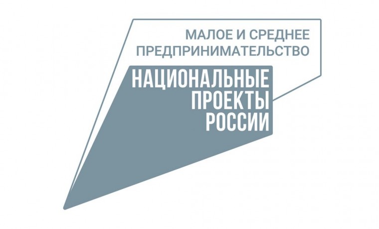 Благодаря нацпроекту в Ачхой-Мартане на стадии реализации находится очередной инвестпроект