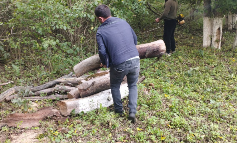 В рамках нацпроекта «Экологическое благополучие» очищены территории вдоль Чернореченской трассы