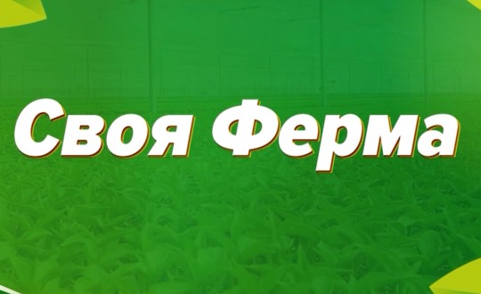 Изображение новости